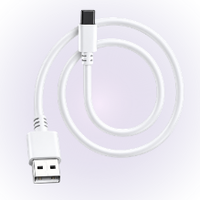 Charging Cable