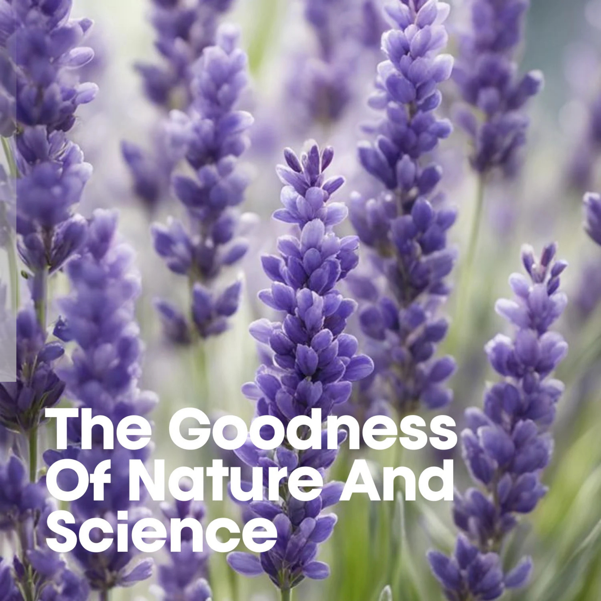 Close-up of lavender flowers with text 'The Goodness Of Nature And Science' overlayed.