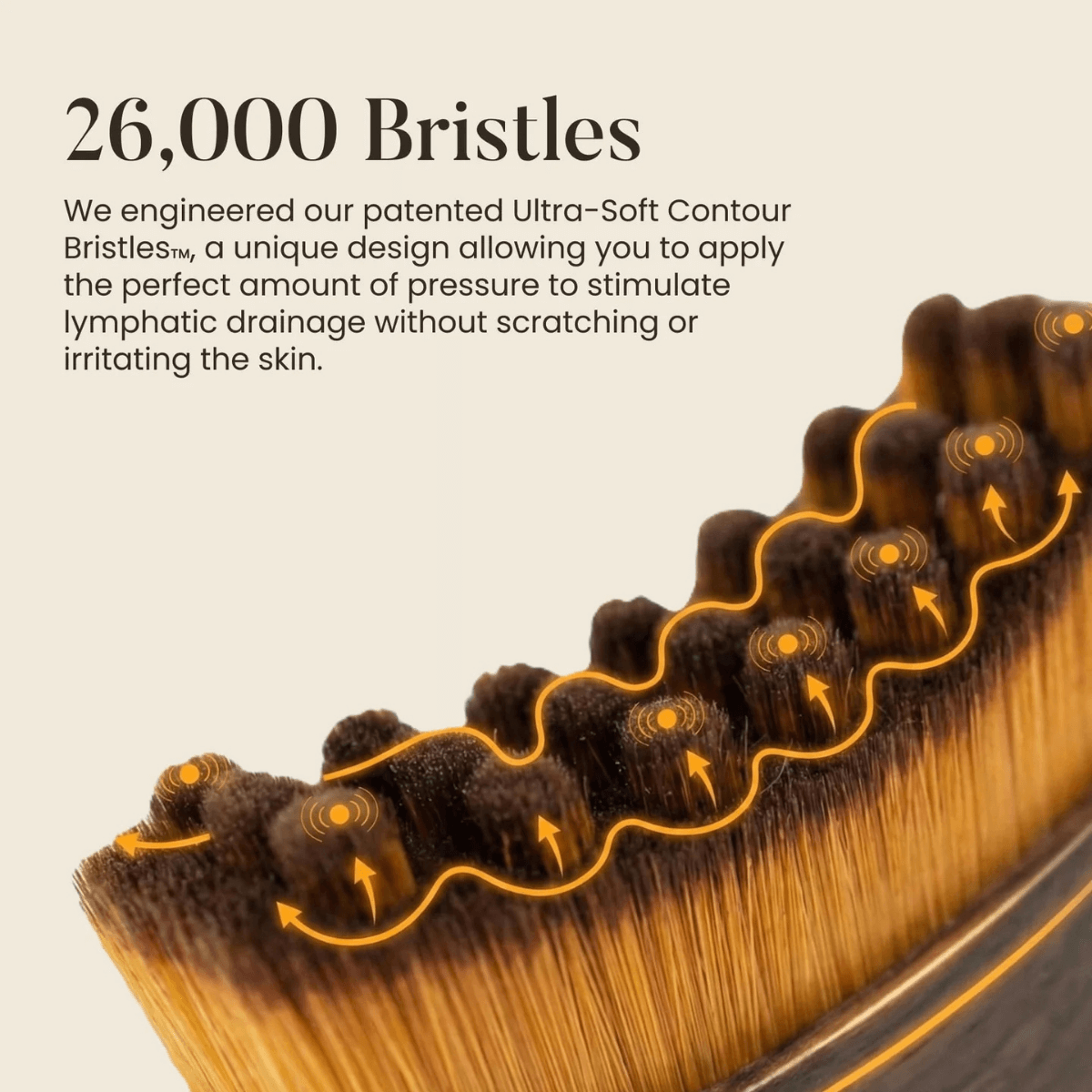 Close-up of a brush with bristles and text about 26,000 bristles and lymphatic drainage.
